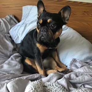 Meet your Posher, Francesca